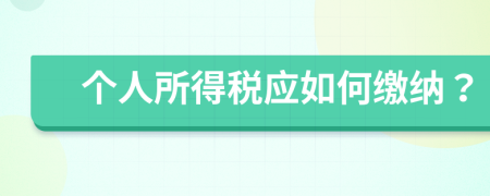 个人所得税应如何缴纳？