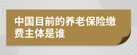 中国目前的养老保险缴费主体是谁