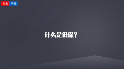 什么是低保？