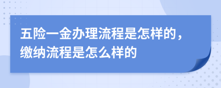 五险一金办理流程是怎样的，缴纳流程是怎么样的