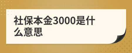 社保本金3000是什么意思