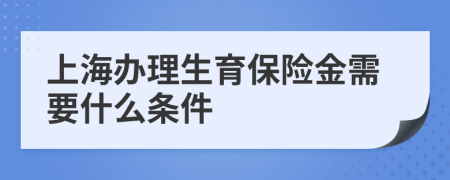 上海办理生育保险金需要什么条件