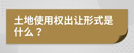 土地使用权出让形式是什么？