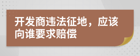 开发商违法征地，应该向谁要求赔偿