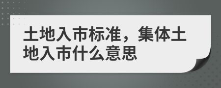 土地入市标准，集体土地入市什么意思