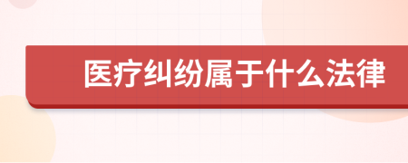 医疗纠纷属于什么法律