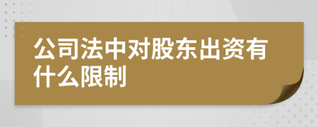 公司法中对股东出资有什么限制