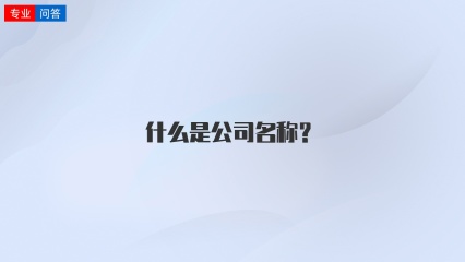 什么是公司名称？