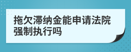 拖欠滞纳金能申请法院强制执行吗