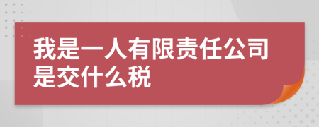 我是一人有限责任公司是交什么税