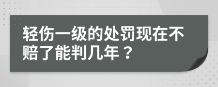 轻伤一级的处罚现在不赔了能判几年？