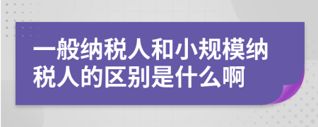 一般纳税人和小规模纳税人的区别是什么啊