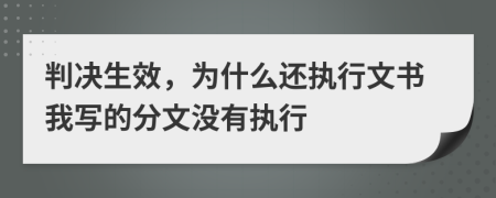 判决生效，为什么还执行文书我写的分文没有执行