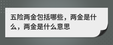 五险两金包括哪些，两金是什么，两金是什么意思