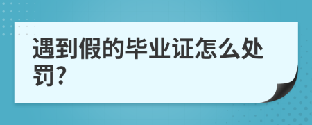 遇到假的毕业证怎么处罚?