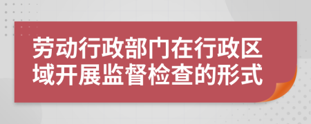 劳动行政部门在行政区域开展监督检查的形式