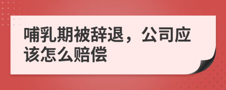 哺乳期被辞退，公司应该怎么赔偿