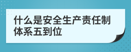 什么是安全生产责任制体系五到位