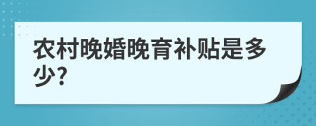 农村晚婚晚育补贴是多少?