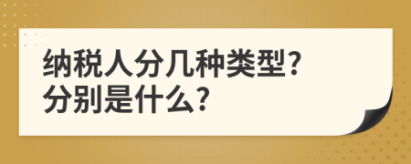 纳税人分几种类型? 分别是什么?