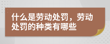 什么是劳动处罚，劳动处罚的种类有哪些