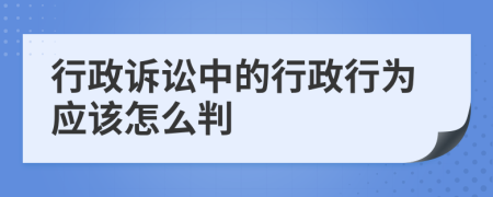 行政诉讼中的行政行为应该怎么判