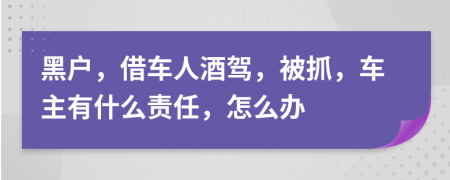 黑户，借车人酒驾，被抓，车主有什么责任，怎么办
