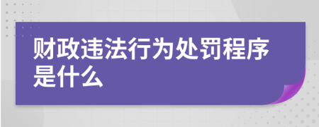 财政违法行为处罚程序是什么