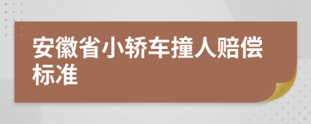 安徽省小轿车撞人赔偿标准