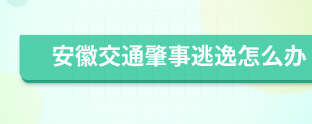 安徽交通肇事逃逸怎么办