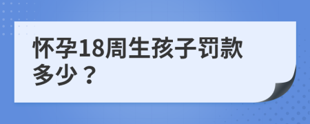 怀孕18周生孩子罚款多少？