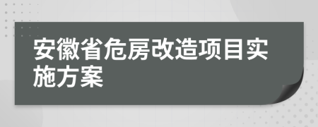 安徽省危房改造项目实施方案