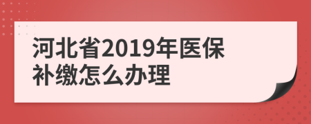 河北省2019年医保补缴怎么办理