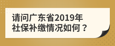 请问广东省2019年社保补缴情况如何？