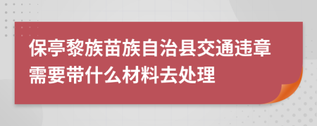 保亭黎族苗族自治县交通违章需要带什么材料去处理