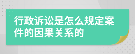 行政诉讼是怎么规定案件的因果关系的