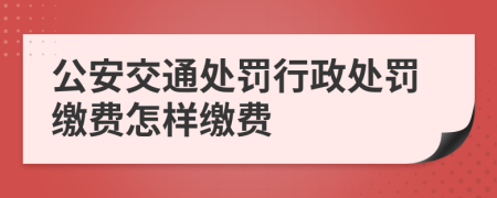 公安交通处罚行政处罚缴费怎样缴费