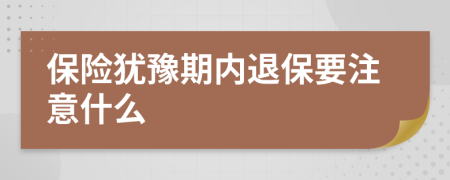 保险犹豫期内退保要注意什么