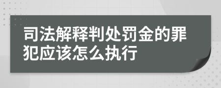 司法解释判处罚金的罪犯应该怎么执行