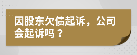 因股东欠债起诉，公司会起诉吗？