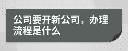 公司要开新公司，办理流程是什么