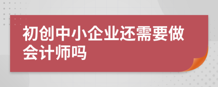 初创中小企业还需要做会计师吗