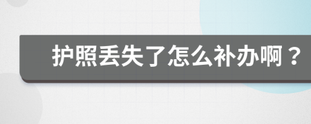 护照丢失了怎么补办啊？