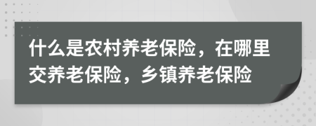 什么是农村养老保险，在哪里交养老保险，乡镇养老保险