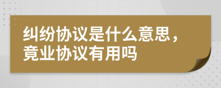 纠纷协议是什么意思，竟业协议有用吗