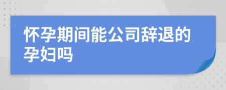 怀孕期间能公司辞退的孕妇吗