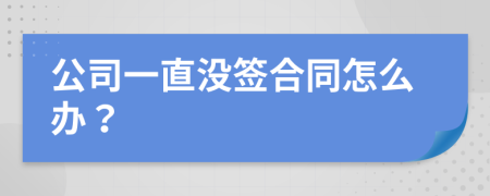 公司一直没签合同怎么办？