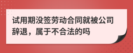 试用期没签劳动合同就被公司辞退，属于不合法的吗