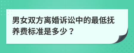 男女双方离婚诉讼中的最低抚养费标准是多少？