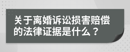 关于离婚诉讼损害赔偿的法律证据是什么？